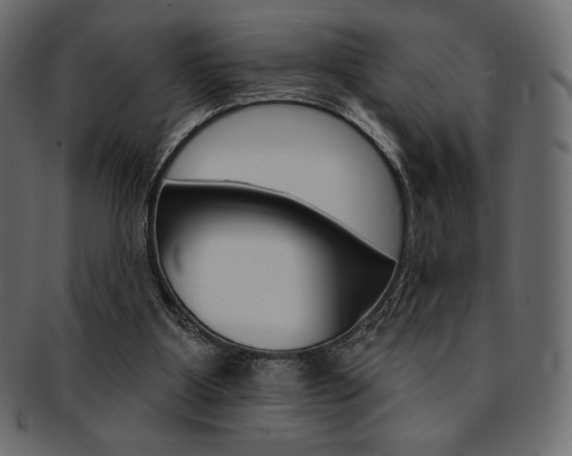 X0000093170107200709261104