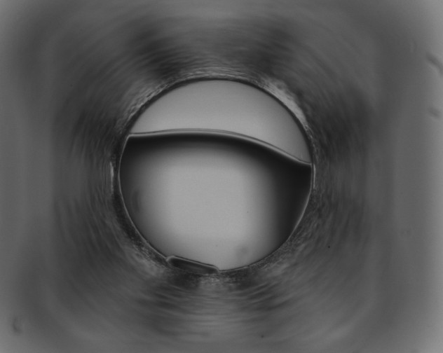 X0000093170109200709261104