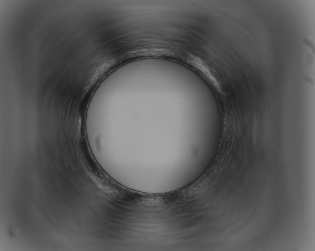 X0000093170110200709261104