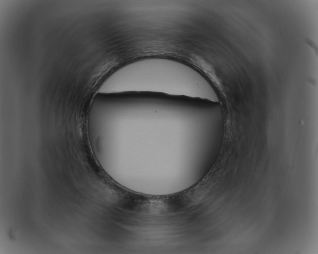 X0000093170114200709261104