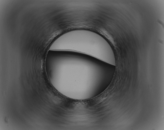 X0000093170115200709261104