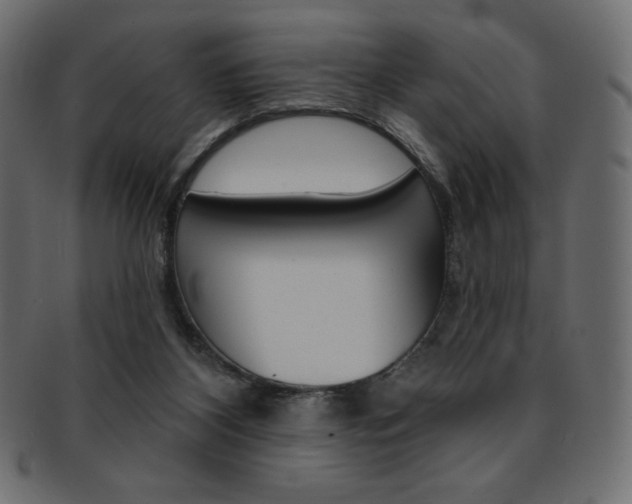 X0000093170116200709261104