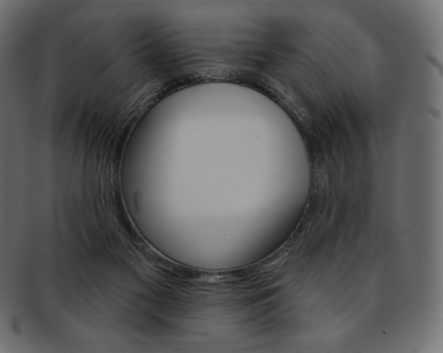 X0000093170117200709261104