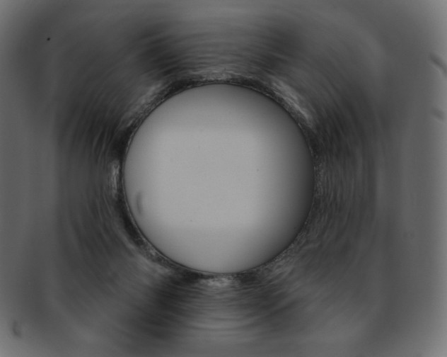 X0000093170118200709261104