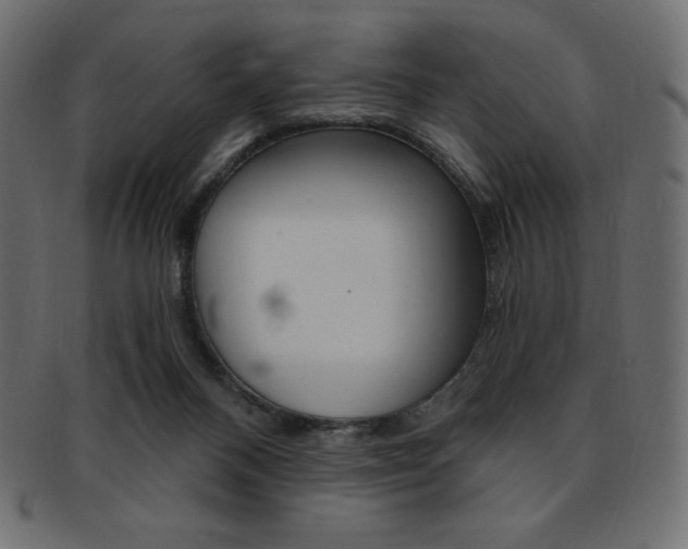 X0000093170120200709261104