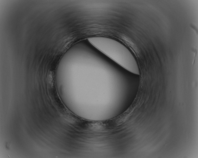 X0000093170121200709261104