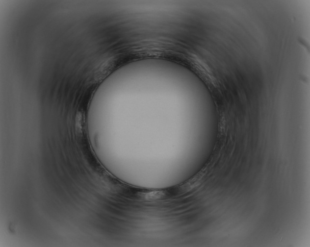 X0000093170122200709261104