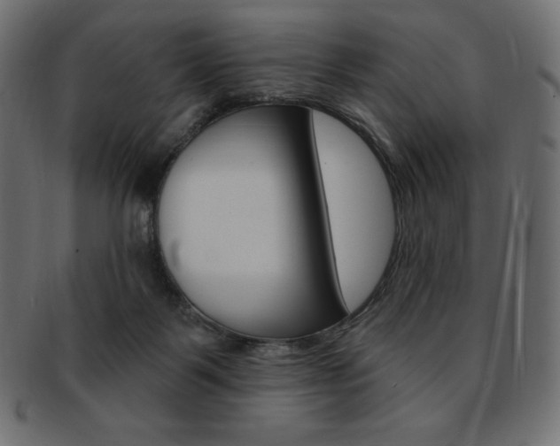 X0000093170123200709261104