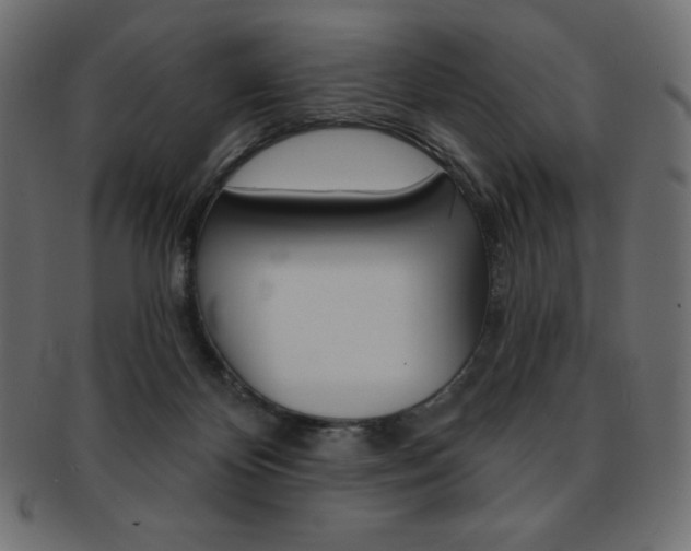 X0000093170124200709261104