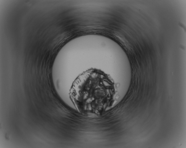 X0000093170125200709261104