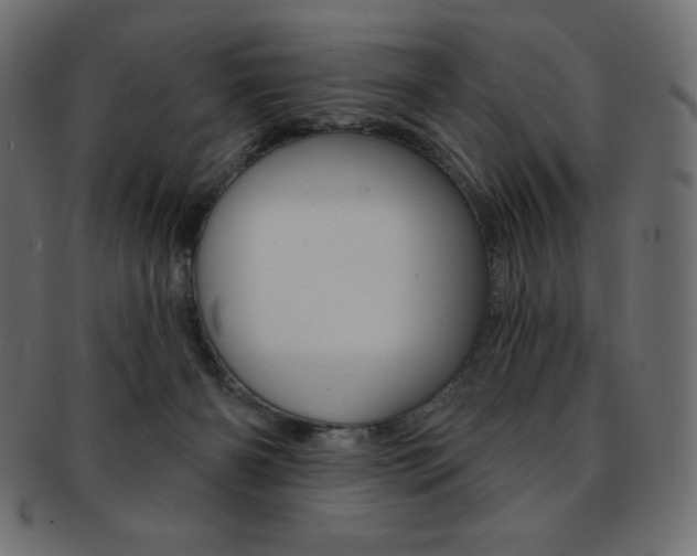 X0000093170126200709261104