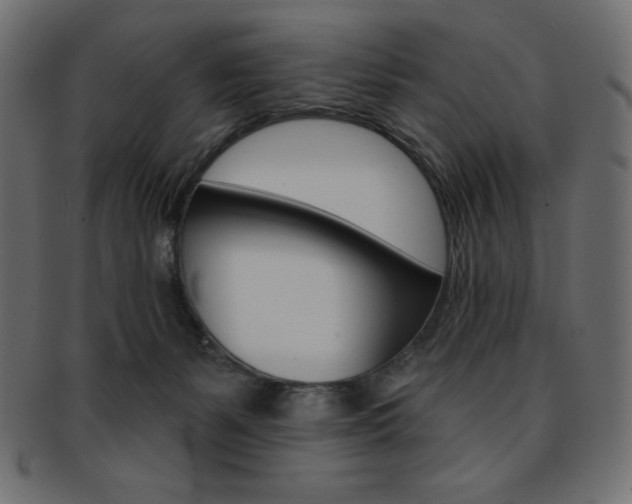 X0000093170127200709261104