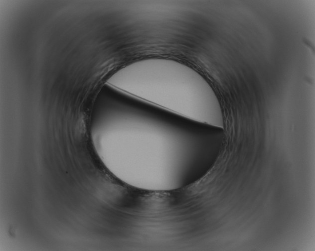 X0000093170128200709261104