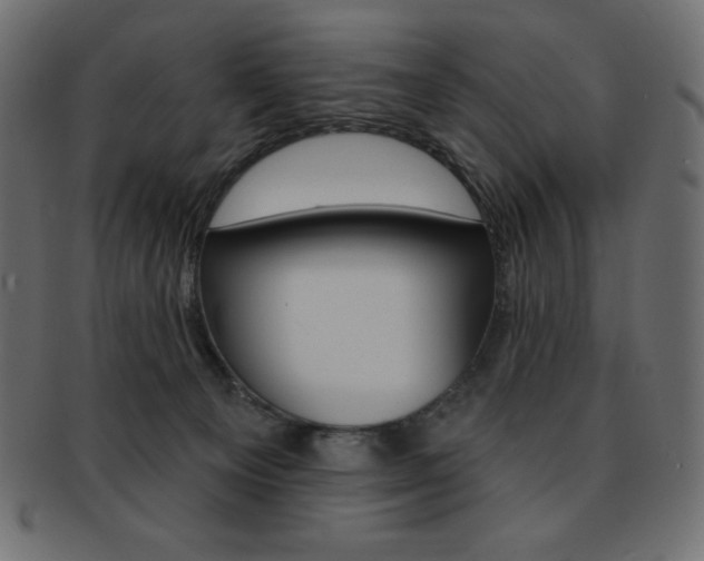 X0000093170129200709261104