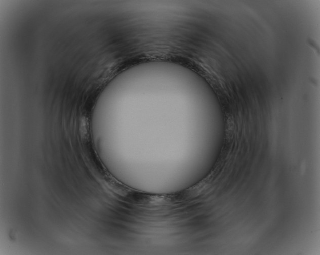 X0000093170130200709261104