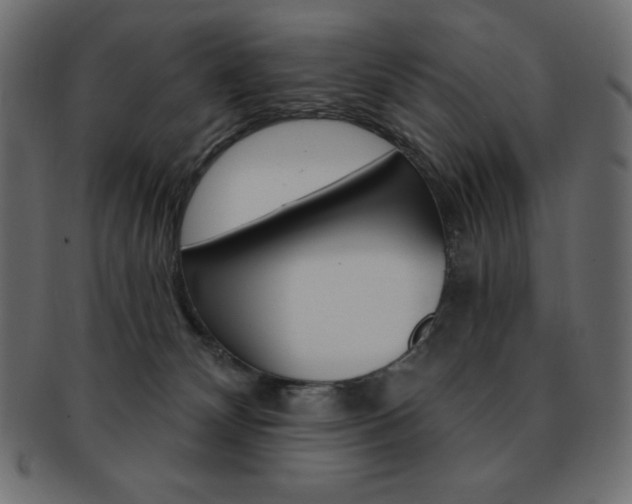 X0000093170132200709261104