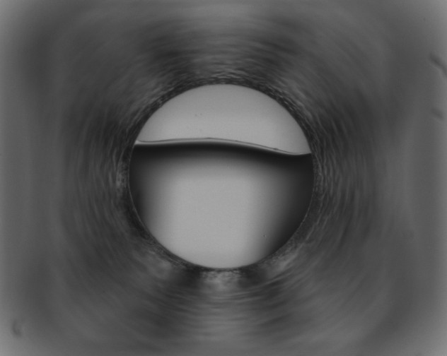X0000093170135200709261104