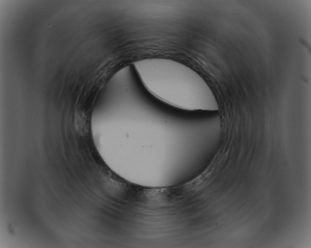X0000093170136200709261104