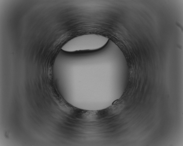 X0000093170138200709261104