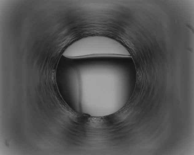 X0000093170141200709261104