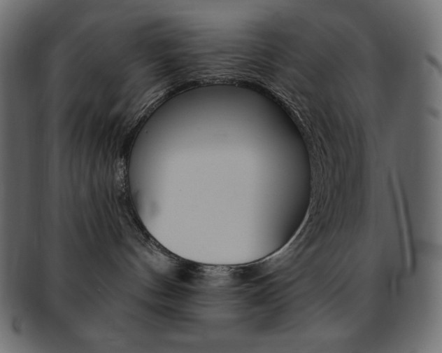 X0000093170144200709261104