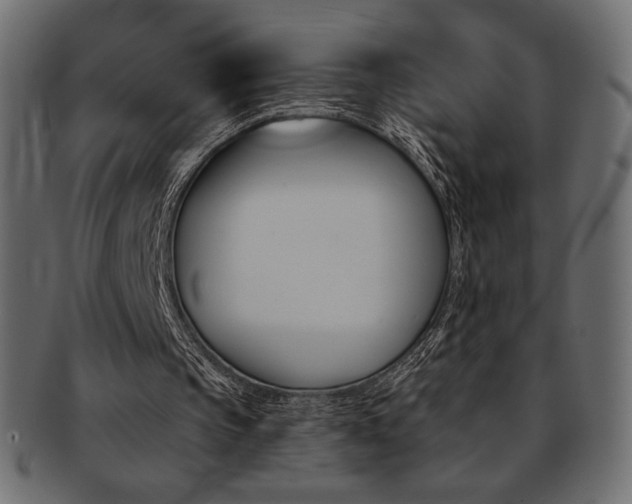 X0000093170145200709261103