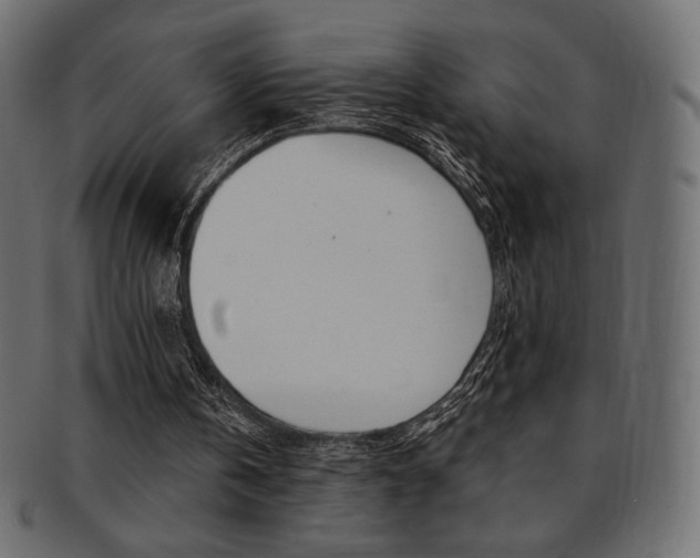 X0000093170146200709261103