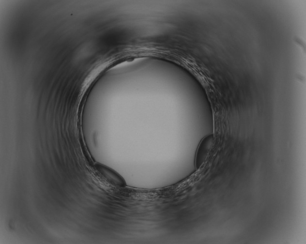 X0000093170147200709261103