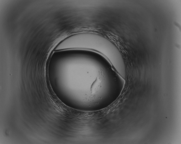 X0000093170148200709261103