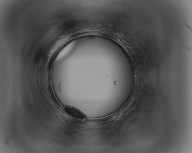 X0000093170149200709261103