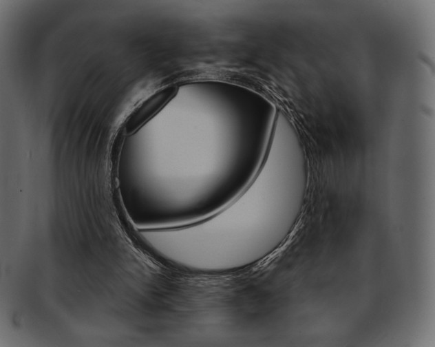 X0000093170150200709261103