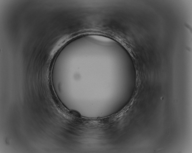 X0000093170151200709261103