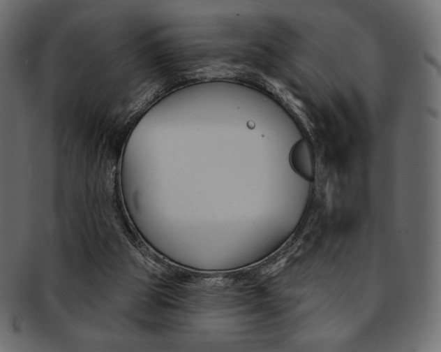 X0000093170153200709261103
