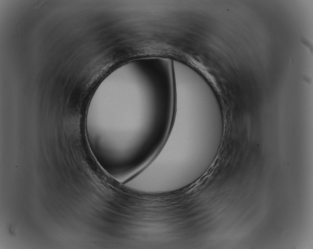 X0000093170154200709261103