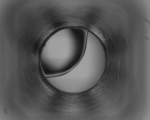 X0000093170156200709261103
