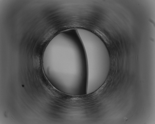 X0000093170158200709261103