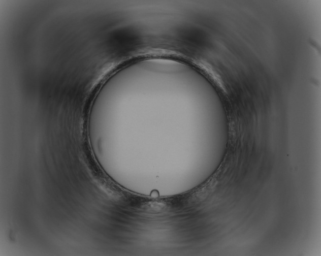 X0000093170159200709261103