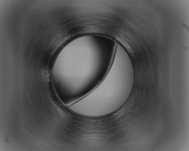 X0000093170160200709261103