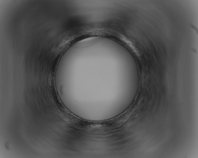 X0000093170161200709261103