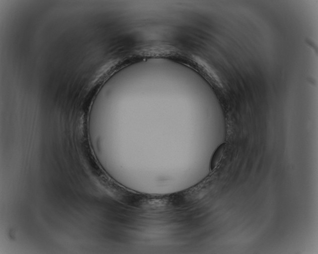 X0000093170163200709261103