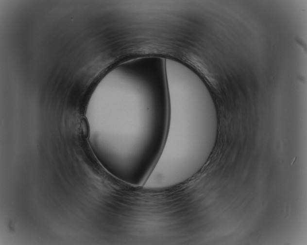 X0000093170164200709261103
