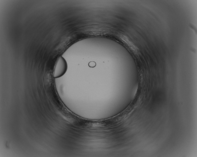 X0000093170165200709261103
