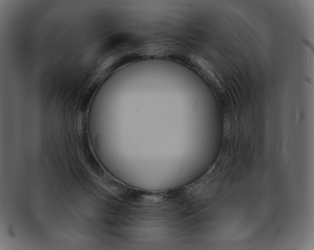 X0000093170167200709261103