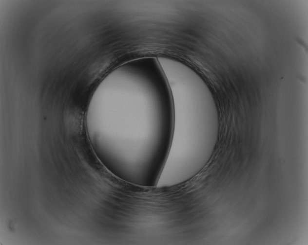 X0000093170168200709261103