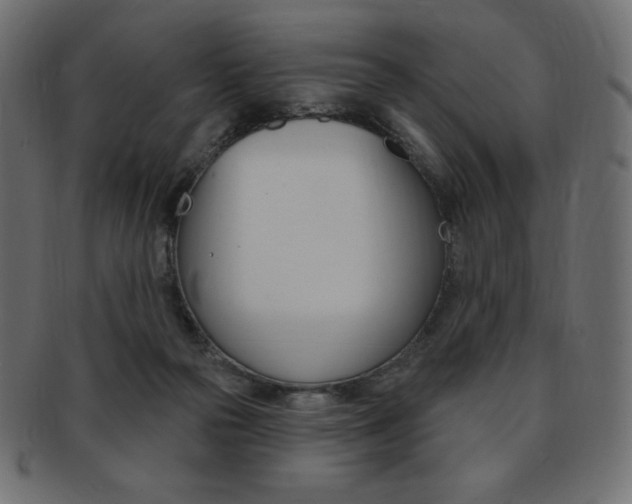 X0000093170169200709261103