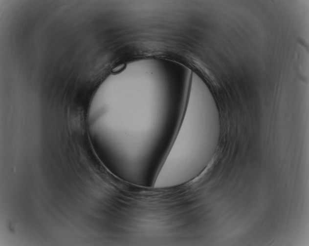 X0000093170170200709261103