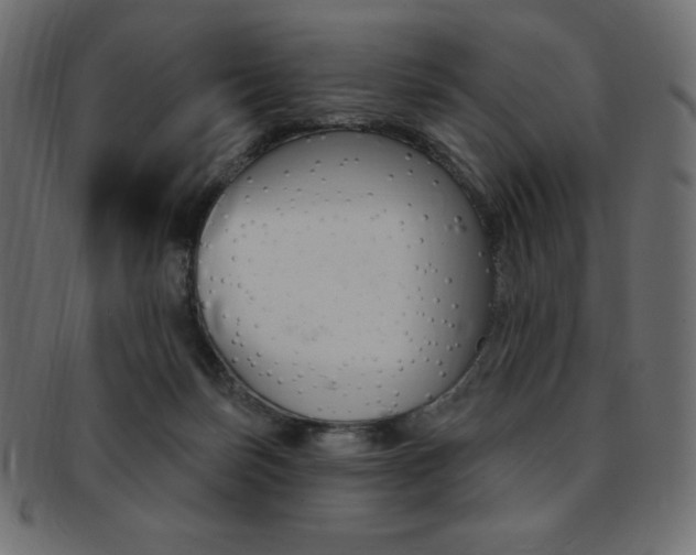 X0000093170171200709261103