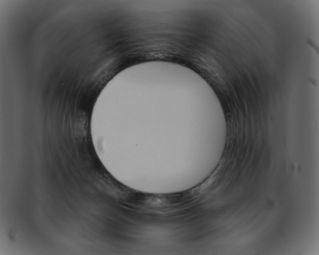 X0000093170174200709261103
