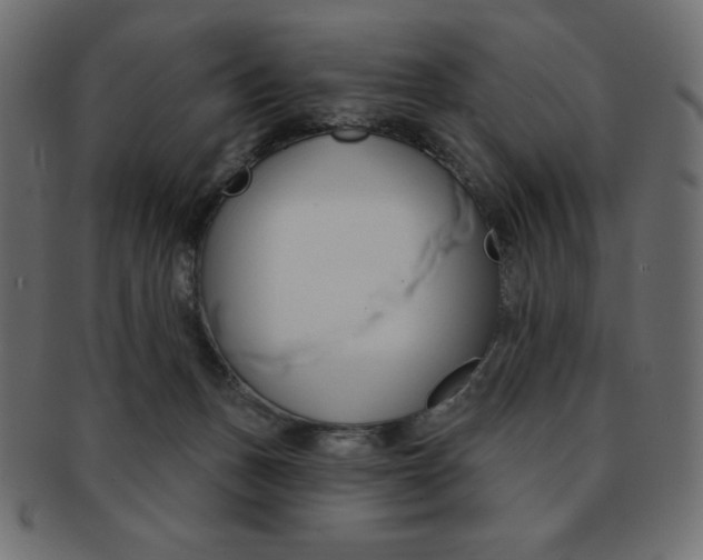 X0000093170175200709261103
