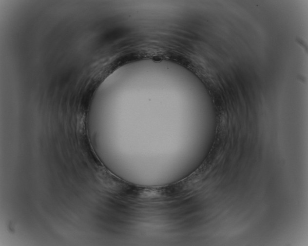 X0000093170177200709261103
